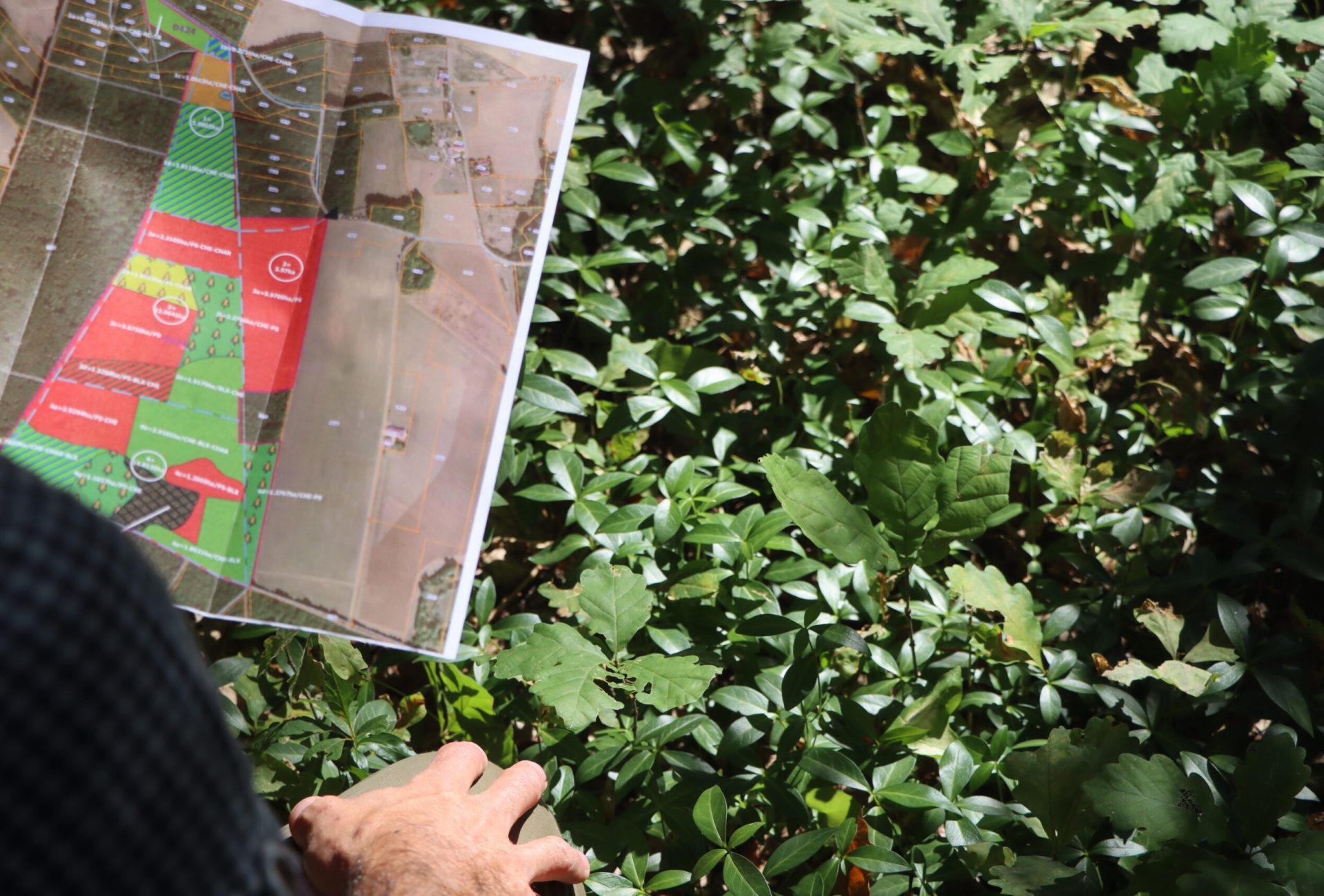 IMG_3840_R IMG_3840_R