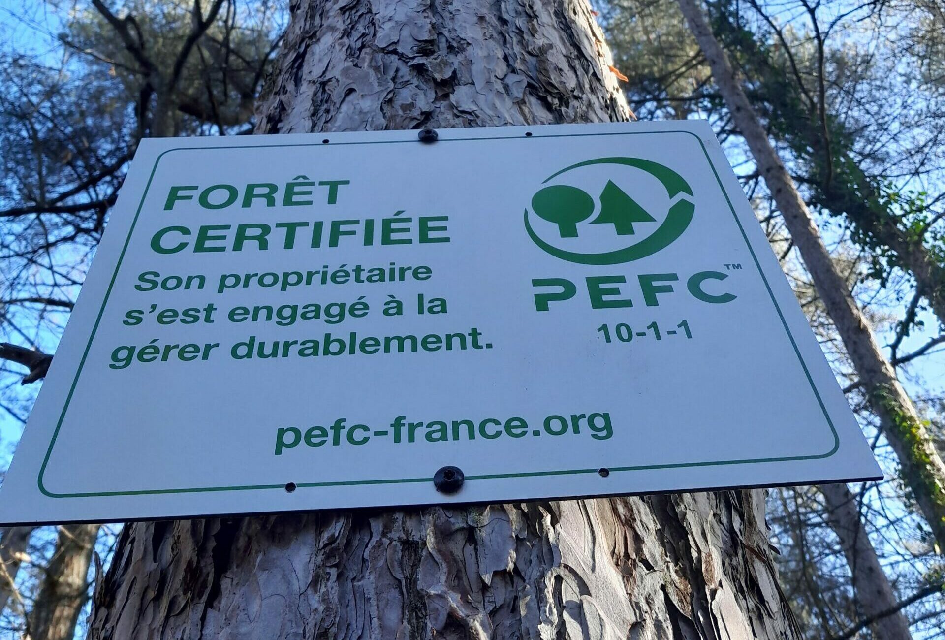 PEFC LURY